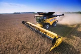 New Holland