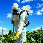 Industrial agriculture theme. Man with protective mask spraying toxic pesticides or insecticides on fruit growing plantation. Natural hard light on sunny day. Blue sky with clouds in background.