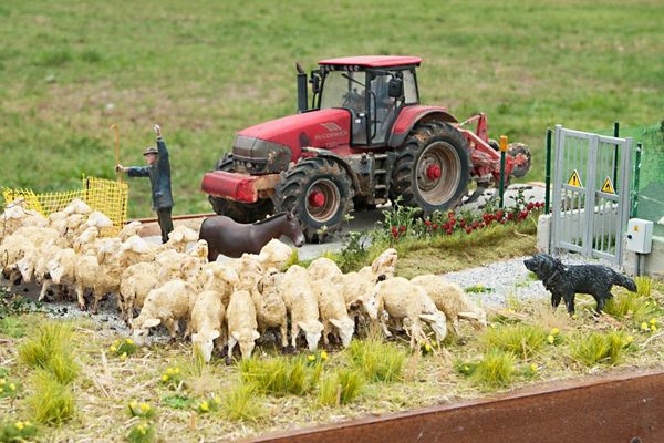 diorama di marino papa