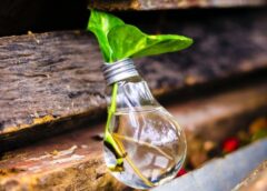 Crea e l’innovazione condivisa