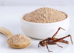 Farine di insetti in scaffali separati