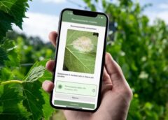 Agronomia 4.0 con xFarm Technologies