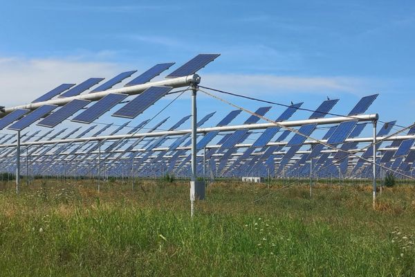 Agri Solar Demo Farm