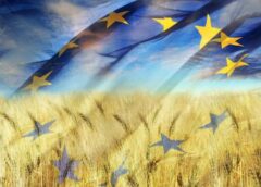 Fertilizzanti, dazi fertili dall’Ue