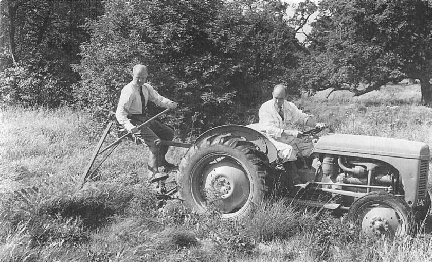 Ferguson Te-20