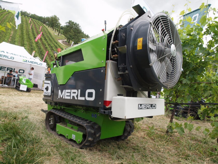Merlo Cingo