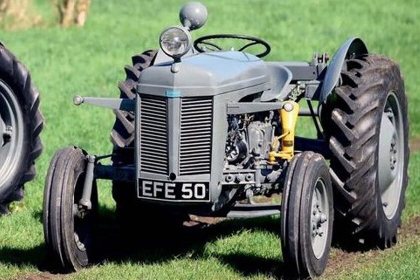 Ferguson Te-20