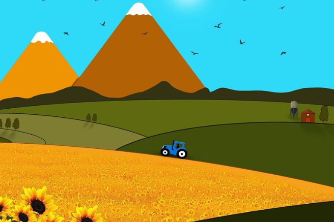 https://pixabay.com/it/illustrations/girasoli-campi-terreni-agricoli-7112463/