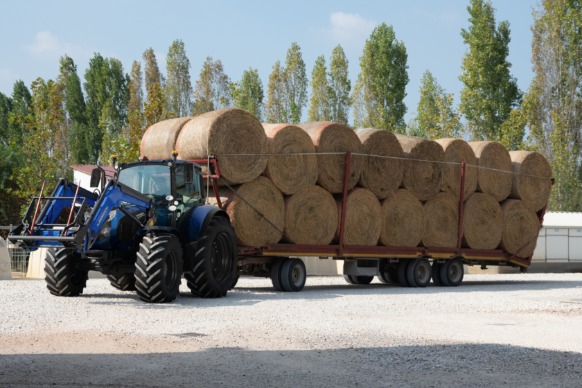 Landini 6H