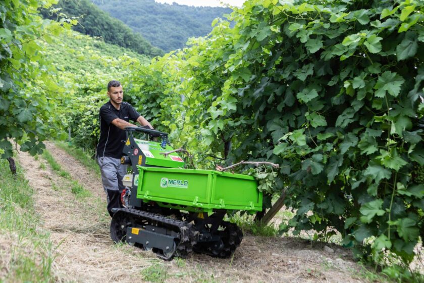Merlo Cingo M600Td-e
